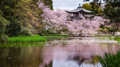 勧修寺(かじゅうじ)