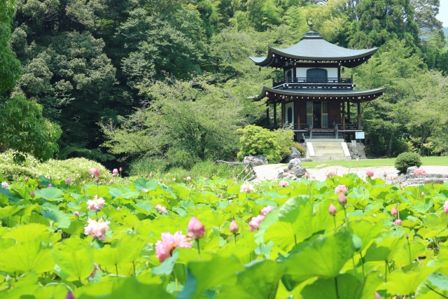 勧修寺の概要