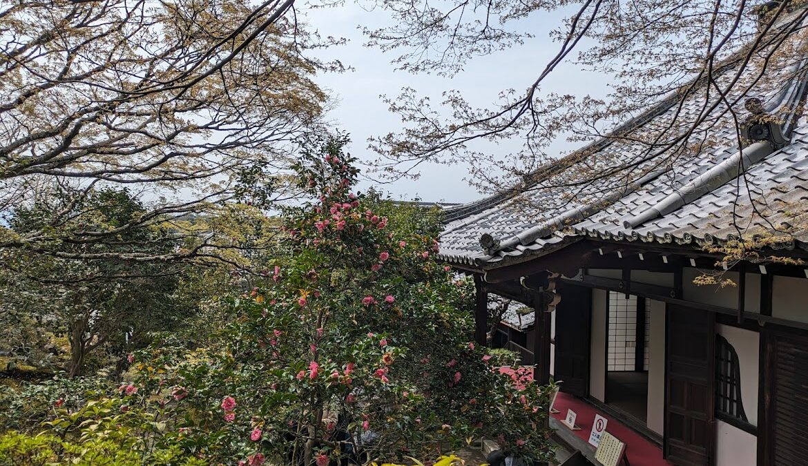 霊鑑寺(れいかんじ)