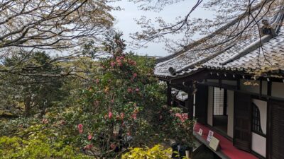 霊鑑寺(れいかんじ)