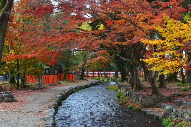 上賀茂神社の概要