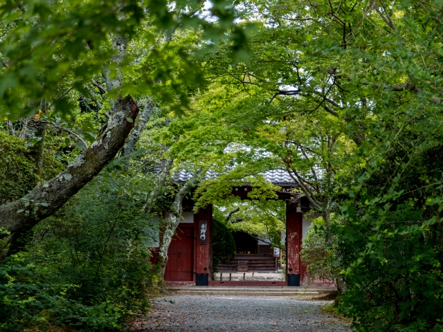 常照寺の概要