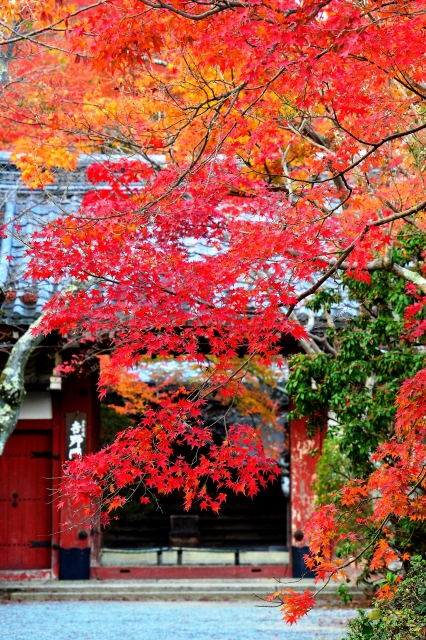 常照寺の概要