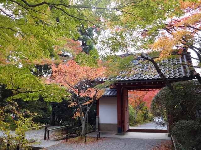 常照寺の概要