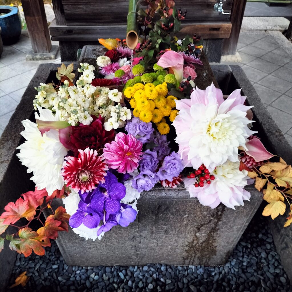 【勝林寺の花手水】秋のライトアップは紅葉と花が楽しめる