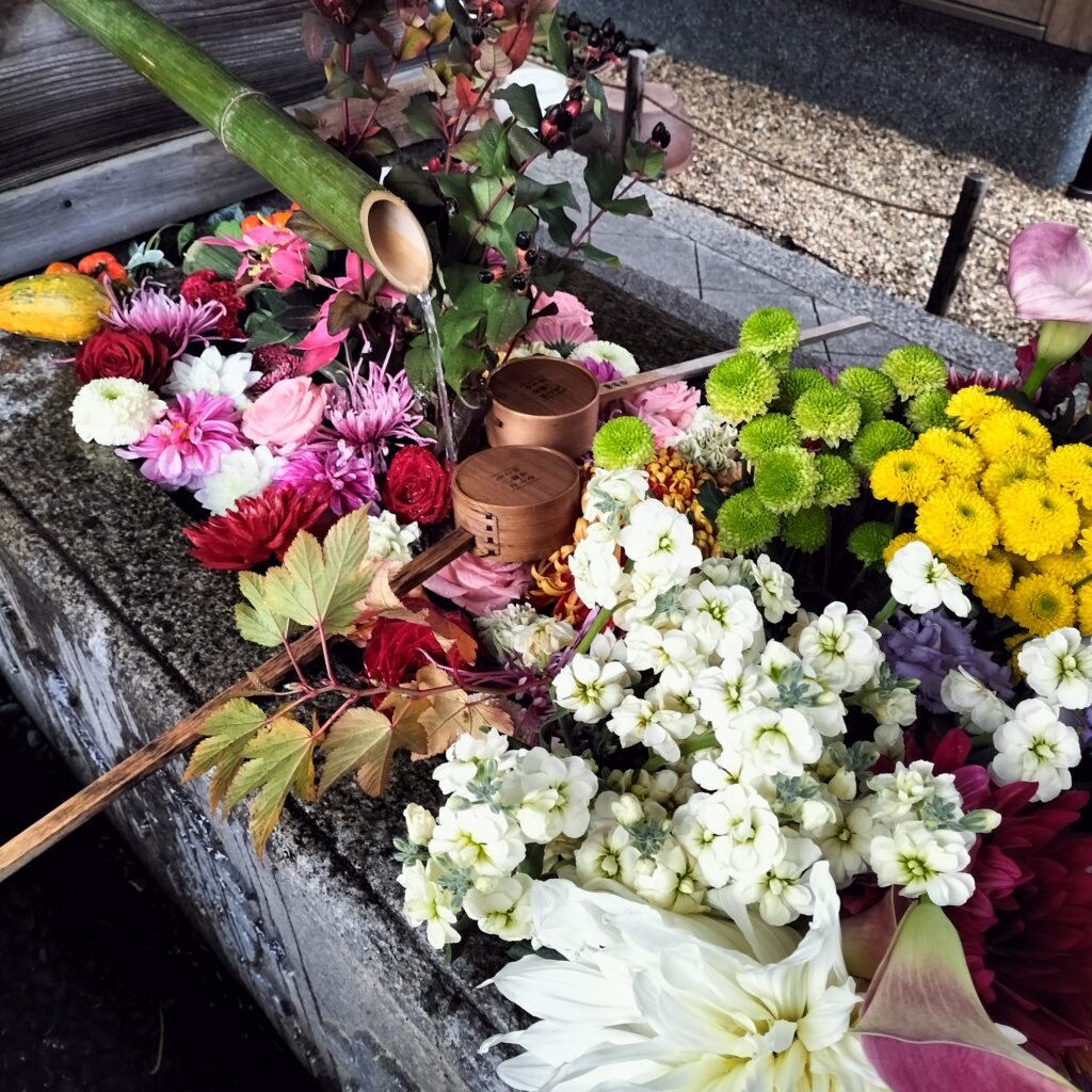 【勝林寺の花手水】秋のライトアップは紅葉と花が楽しめる