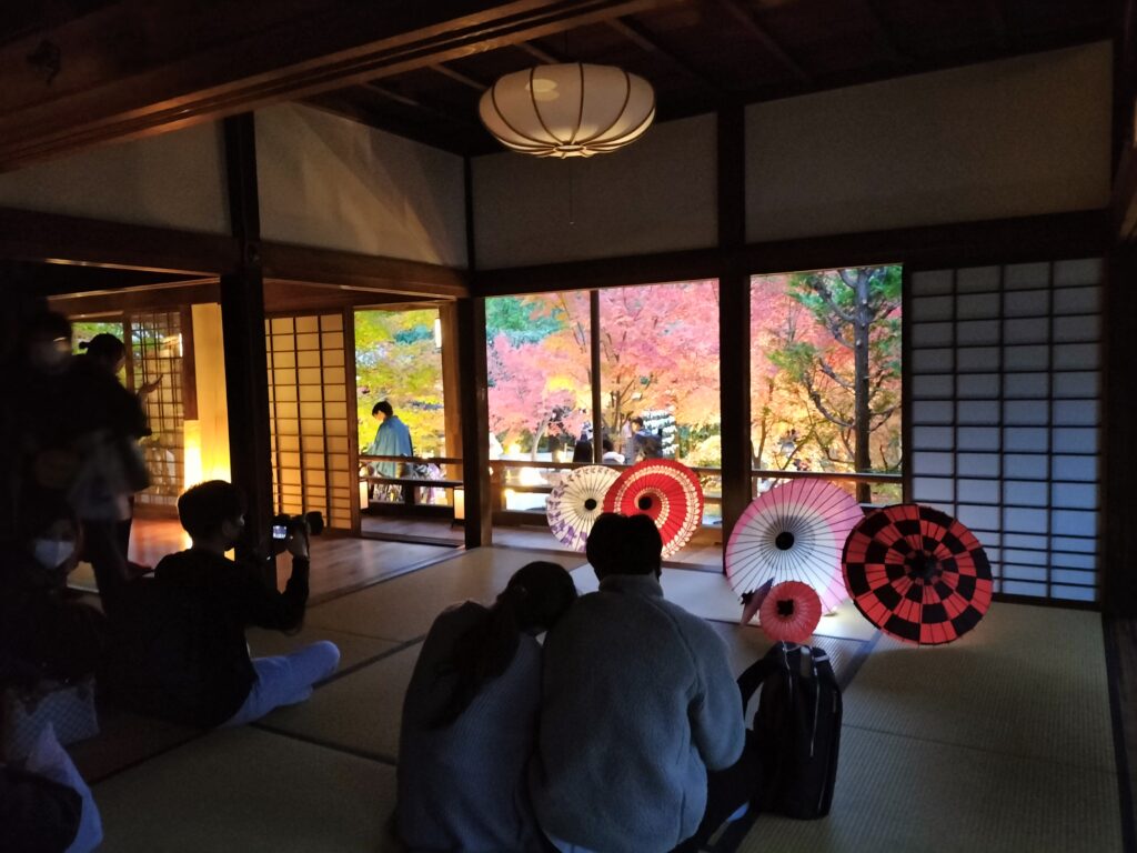 【勝林寺の花手水】秋のライトアップは紅葉と花が楽しめる