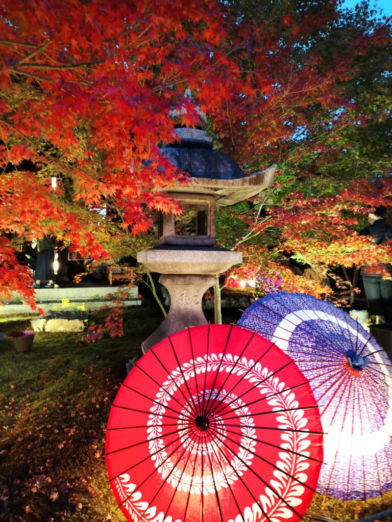 【勝林寺の花手水】秋のライトアップは紅葉と花が楽しめる