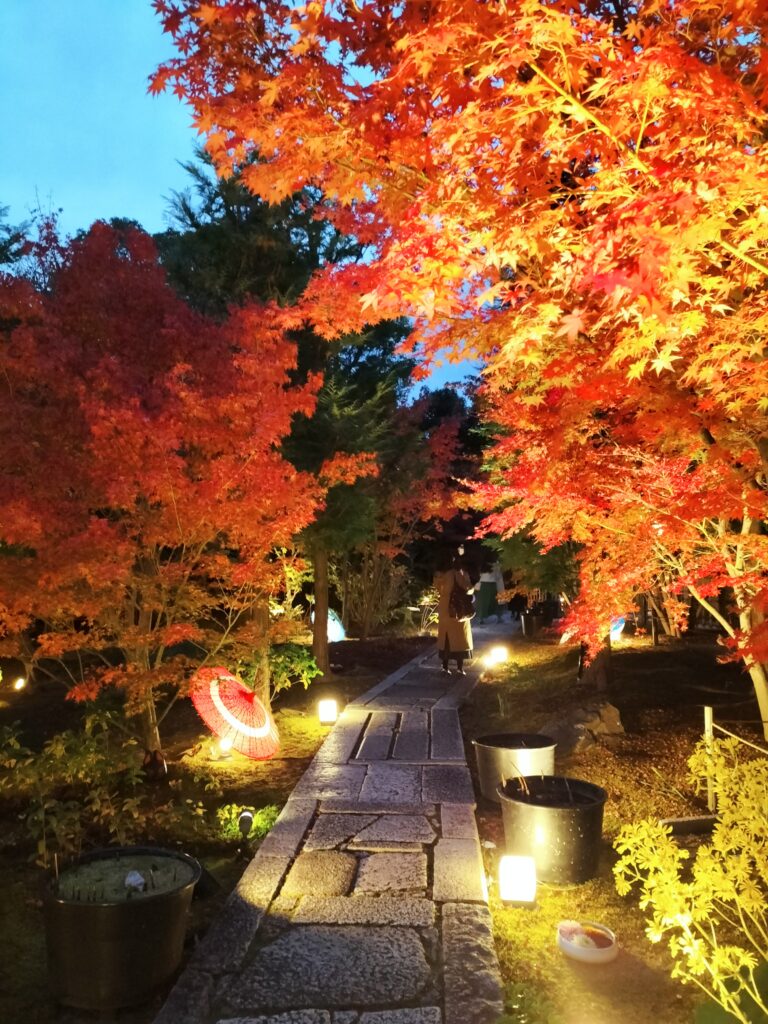 【勝林寺の花手水】秋のライトアップは紅葉と花が楽しめる