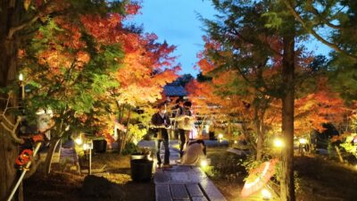 【勝林寺の花手水】秋のライトアップは紅葉と花が楽しめる！