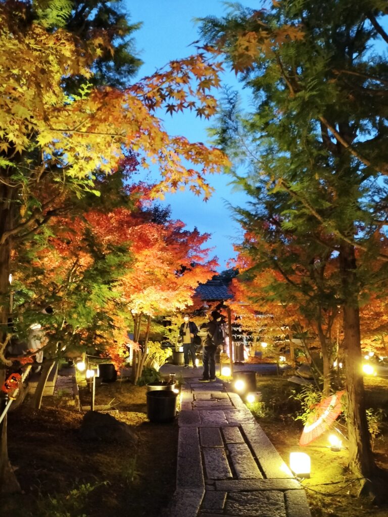 【勝林寺の花手水】秋のライトアップは紅葉と花が楽しめる