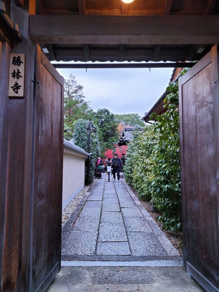 【勝林寺の花手水】秋のライトアップは紅葉と花が楽しめる