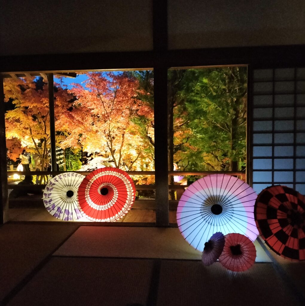 【勝林寺の花手水】秋のライトアップは紅葉と花が楽しめる