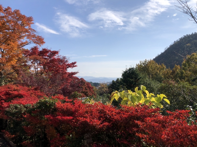 光悦寺の概要