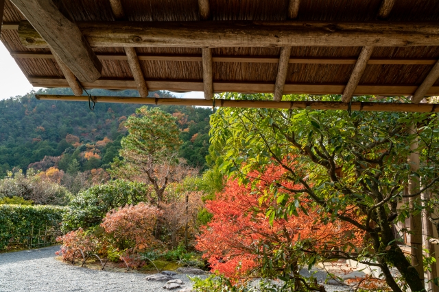 光悦寺の概要