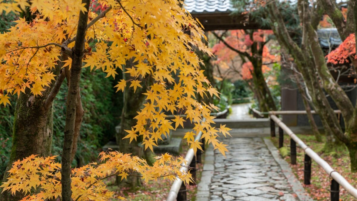 光悦寺(こうえつじ)