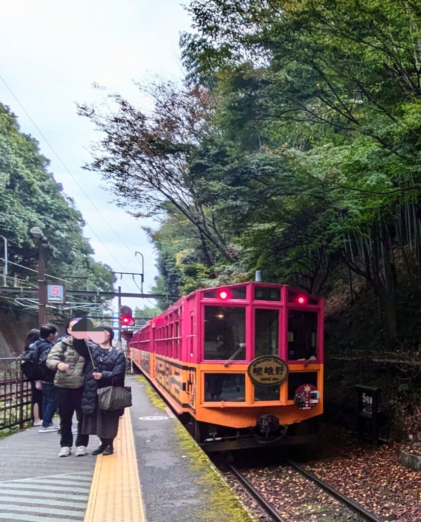 トロッコ亀岡駅から嵐山までトロッコ列車で移動してみました！