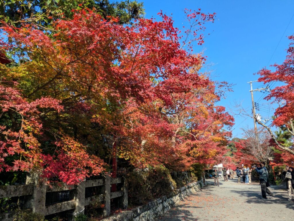 京都 穴場 紅葉スポット　鍬山神社