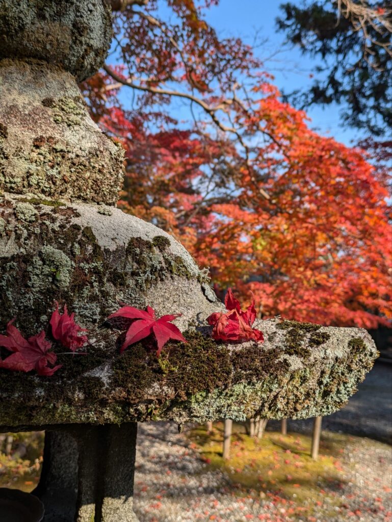 京都 穴場 紅葉スポット　鍬山神社