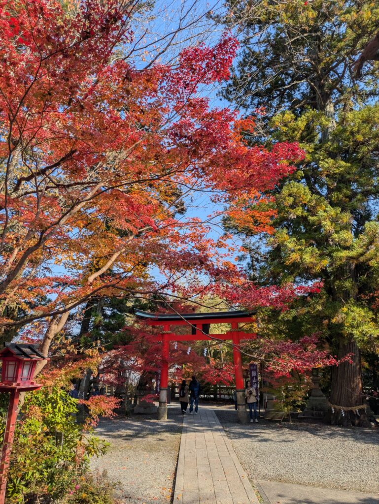 京都 穴場 紅葉スポット　鍬山神社