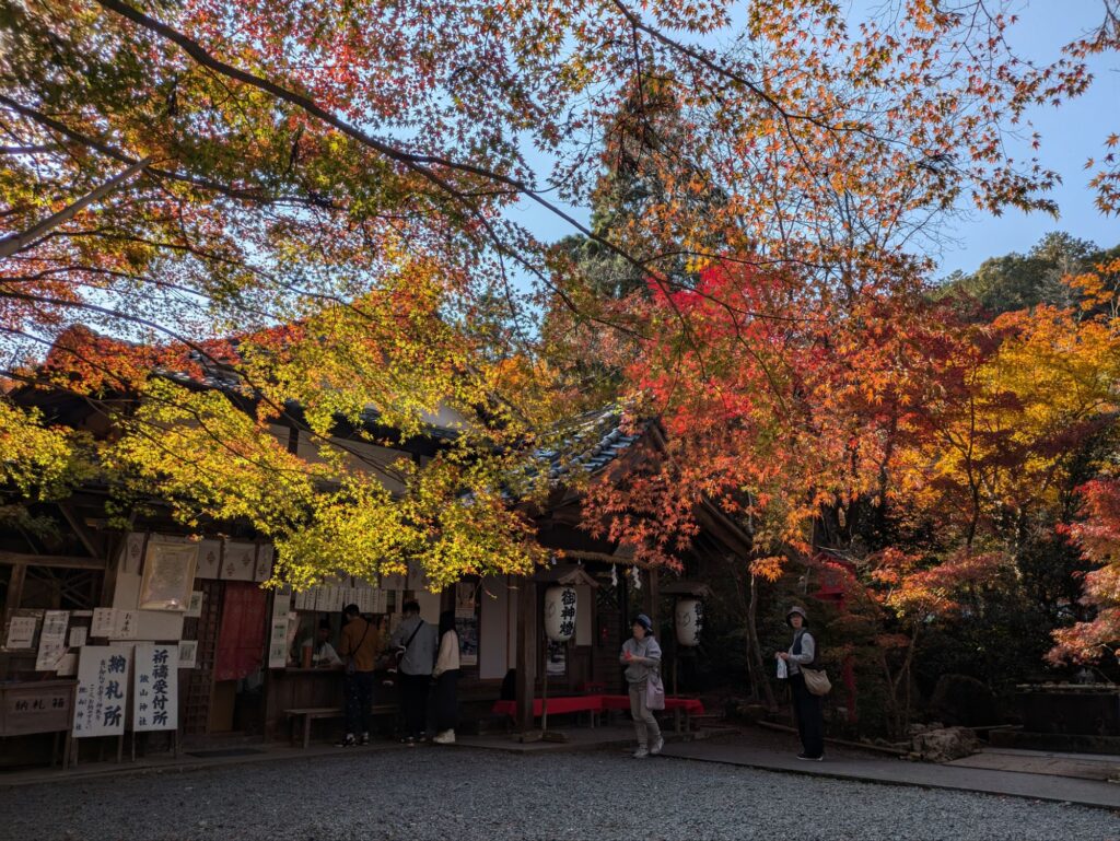 京都 穴場 紅葉スポット　鍬山神社