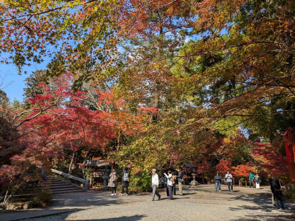 京都 穴場 紅葉スポット　鍬山神社