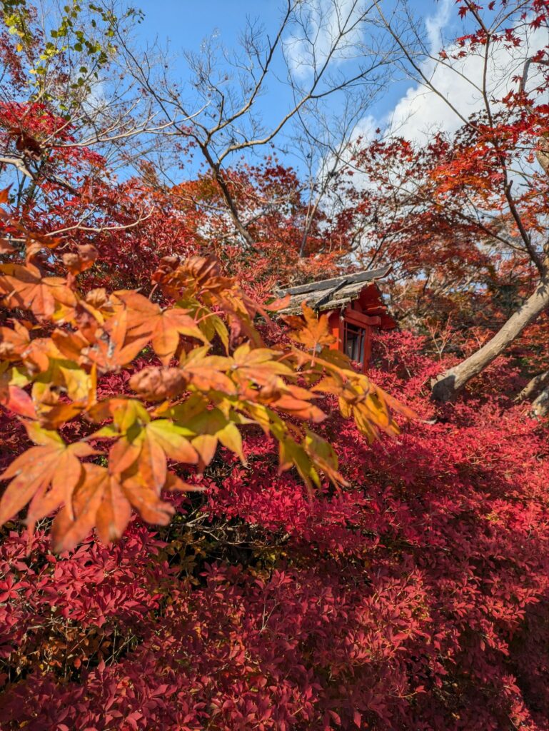 京都 穴場 紅葉スポット　鍬山神社